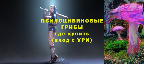 mdpv Карпинск
