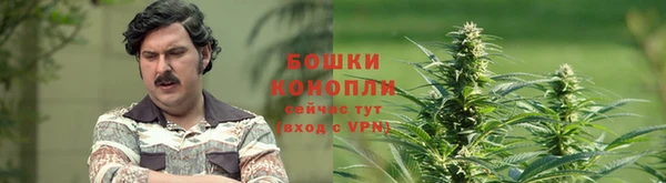 mdpv Карпинск