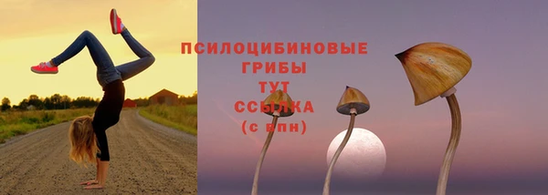 мдпв Касимов