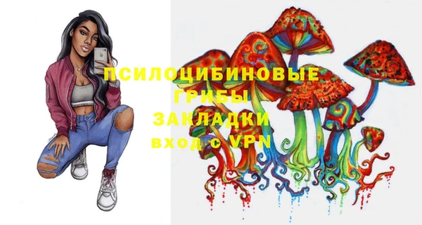 mdpv Карпинск