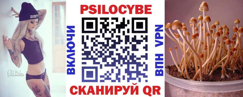 Галлюциногенные грибы мицелий  Ковров 